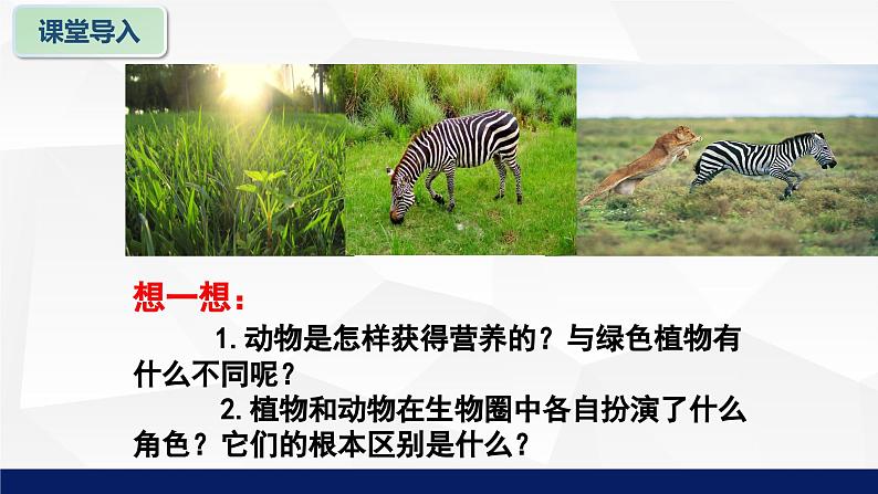 北师大版八年级生物上册 17.1 动物在生物圈中的作用教学课件第5页