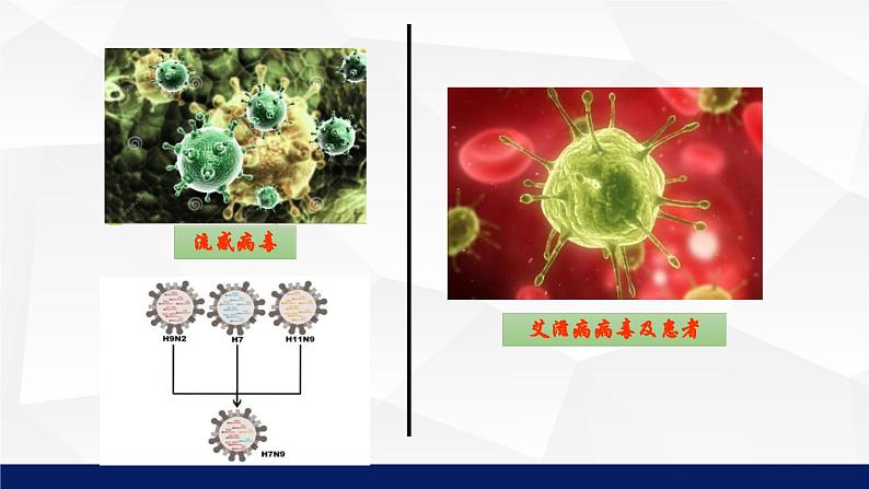 北师大版八年级生物上册 18.2微生物与人类的关系教学课件第8页