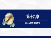北师大版八年级生物上册 19.1人的生殖和发育教学课件
