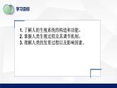 北师大版八年级生物上册 19.1人的生殖和发育教学课件