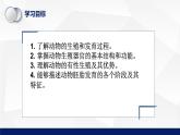 北师大版八年级生物上册 19.2动物的生殖和发育（第一课时）教学课件