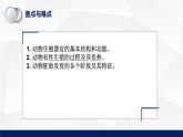 北师大版八年级生物上册 19.2动物的生殖和发育（第一课时）教学课件