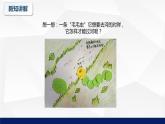 北师大版八年级生物上册 19.2动物的生殖和发育（第一课时）教学课件