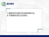 北师大版八年级生物上册 19.3植物的生殖方式教学课件