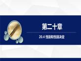北师大版八年级生物上册 20.4性别和性别决定教学课件