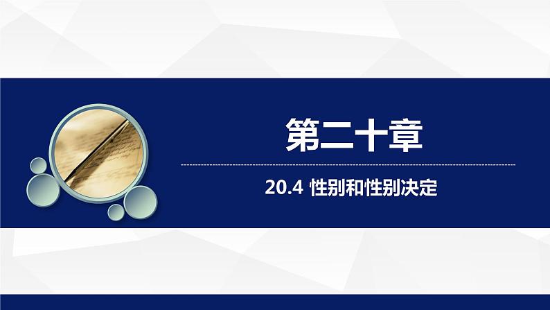 北师大版八年级生物上册 20.4性别和性别决定教学课件01