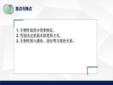 北师大版八年级生物上册 20.4性别和性别决定教学课件