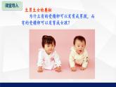 北师大版八年级生物上册 20.4性别和性别决定教学课件