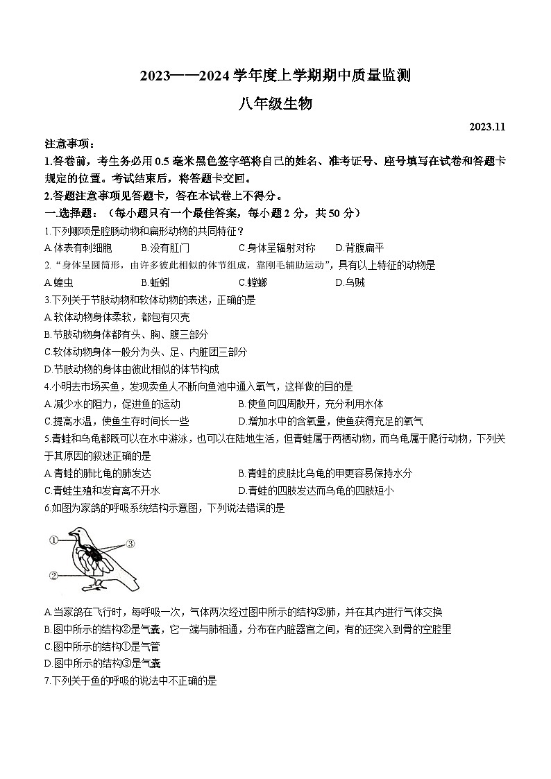 山东省临沂市费县2023-2024学年八年级上学期期中生物试题01