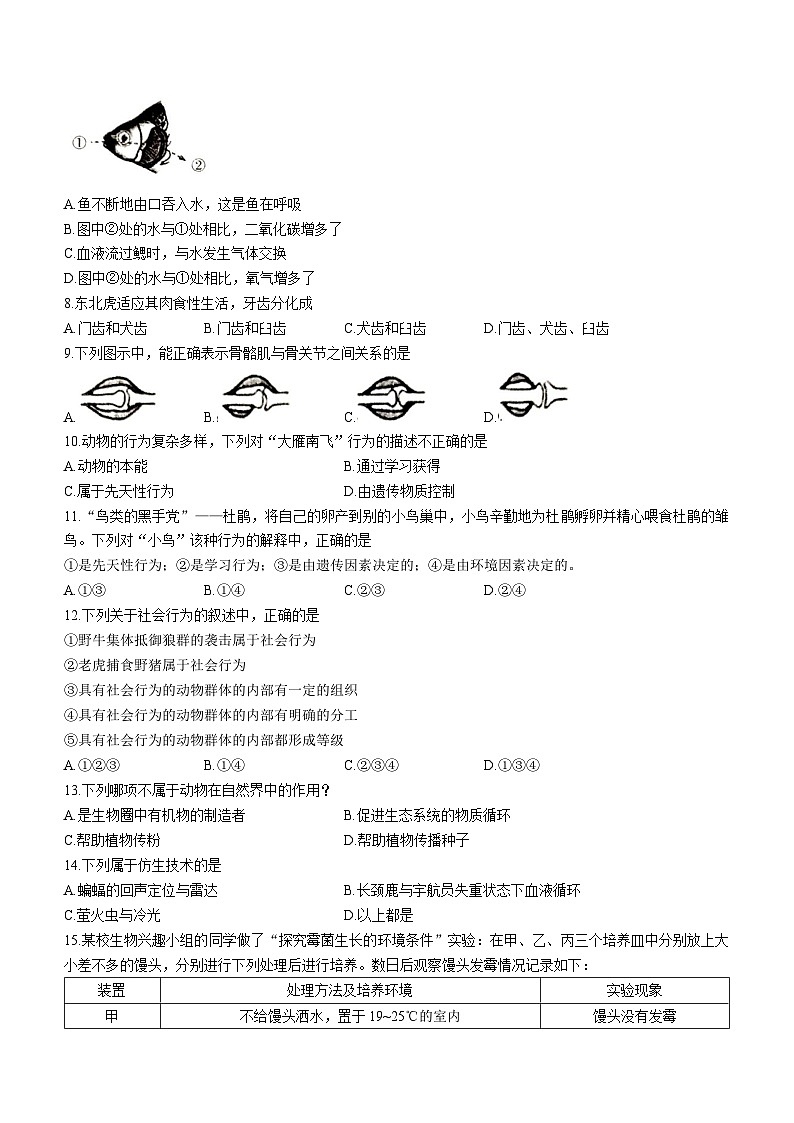 山东省临沂市费县2023-2024学年八年级上学期期中生物试题02