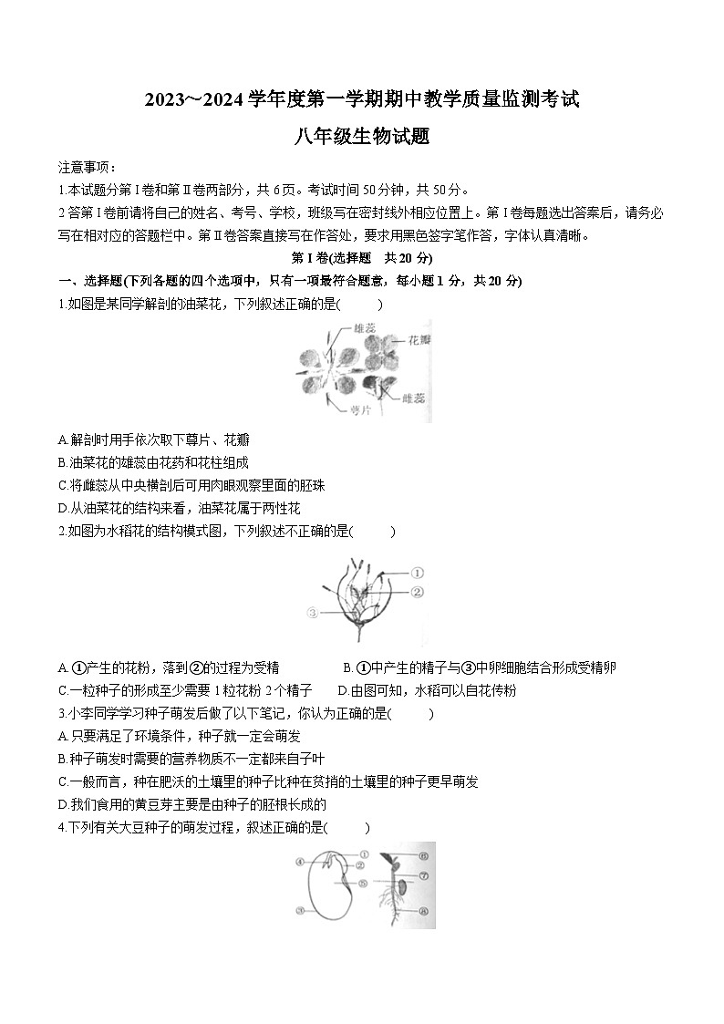 山东省济宁市曲阜市2023-2024学年八年级上学期期中生物试题01