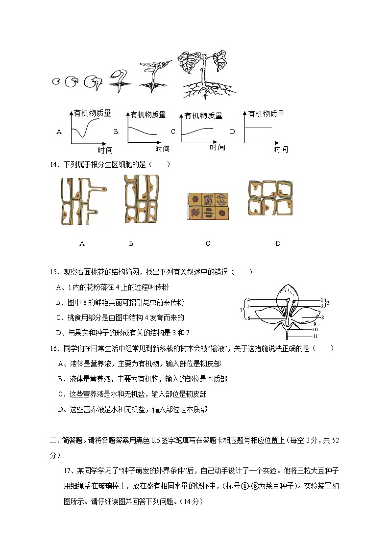 2023-2024学年四川省内江市威远县八年级上学期期中生物模拟试题（含答案）第3页