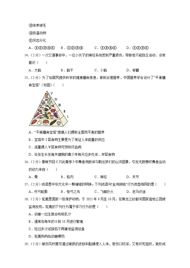 广东省汕头市潮南区2023-2024学年八年级上学期中生物模拟试卷（含答案）03