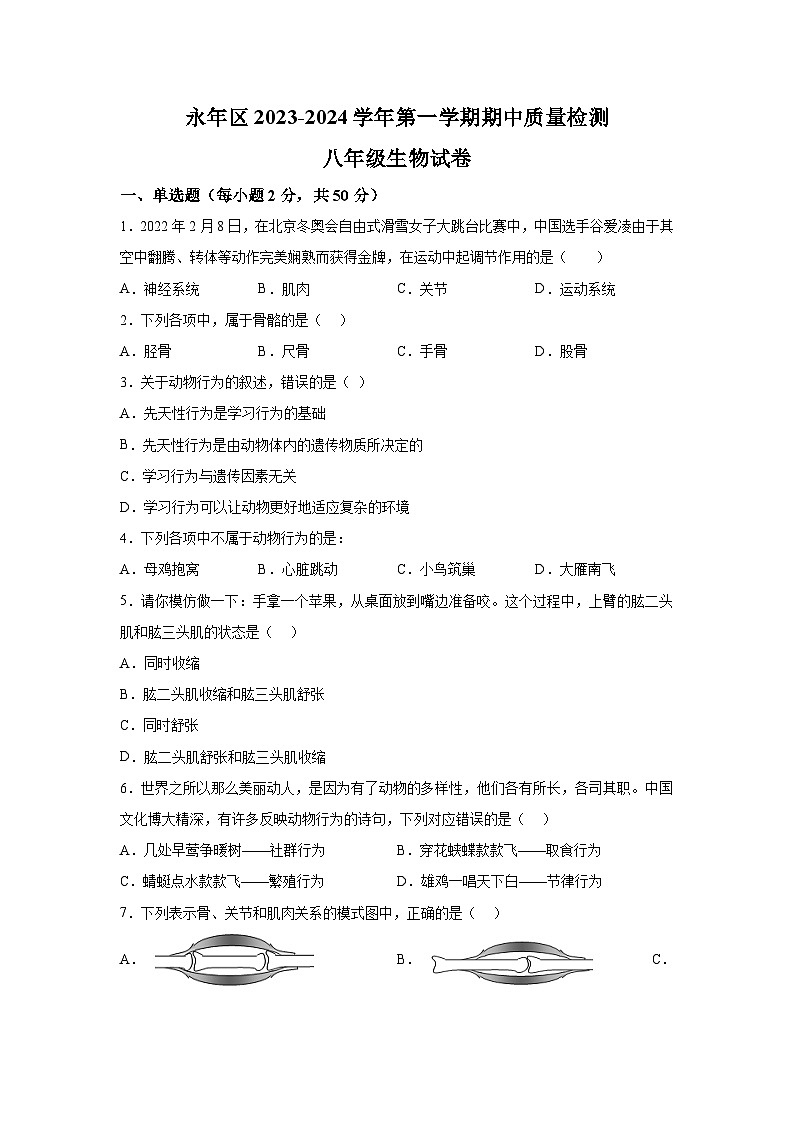 河北省邯郸市永年区2023-2024学年八年级上学期期中考试生物试题（含解析）01