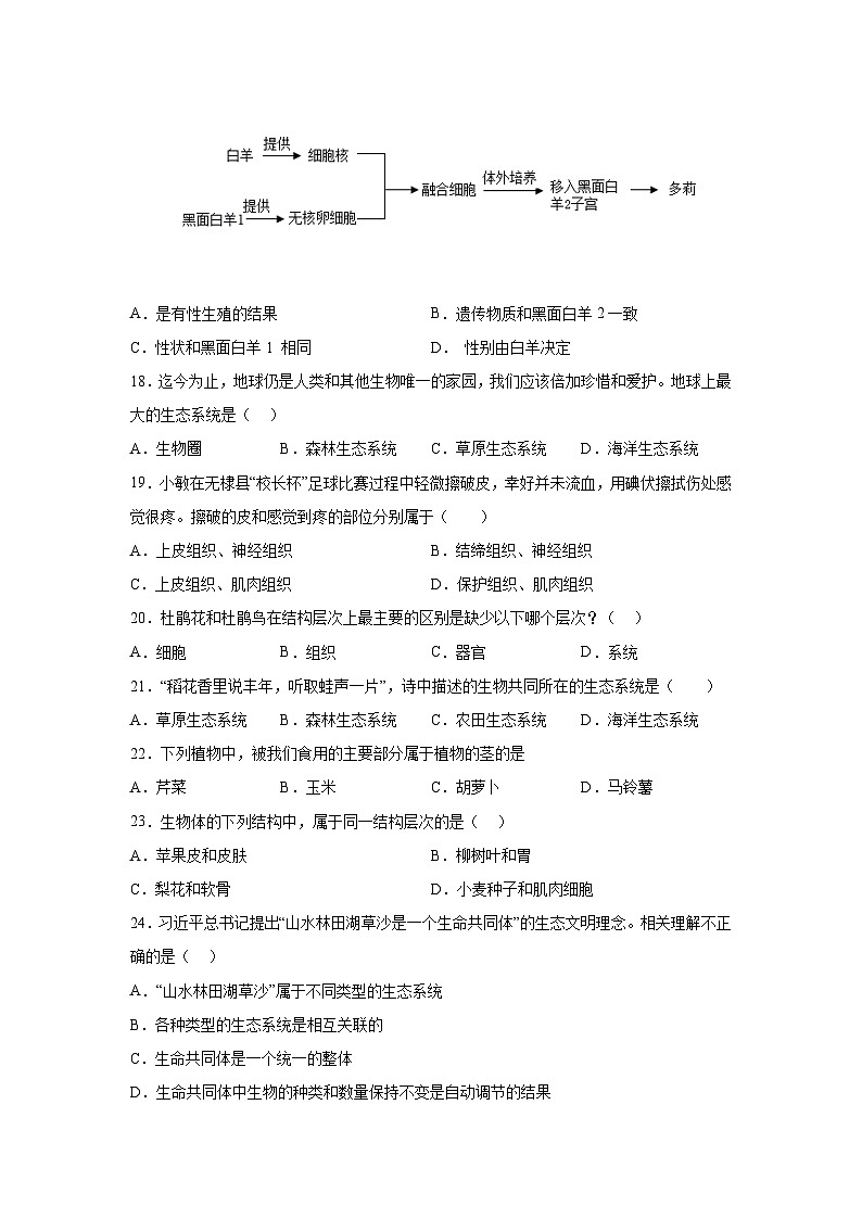 河北省邯郸市永年区2023-2024学年七年级上学期期中考试生物试题（含解析）03