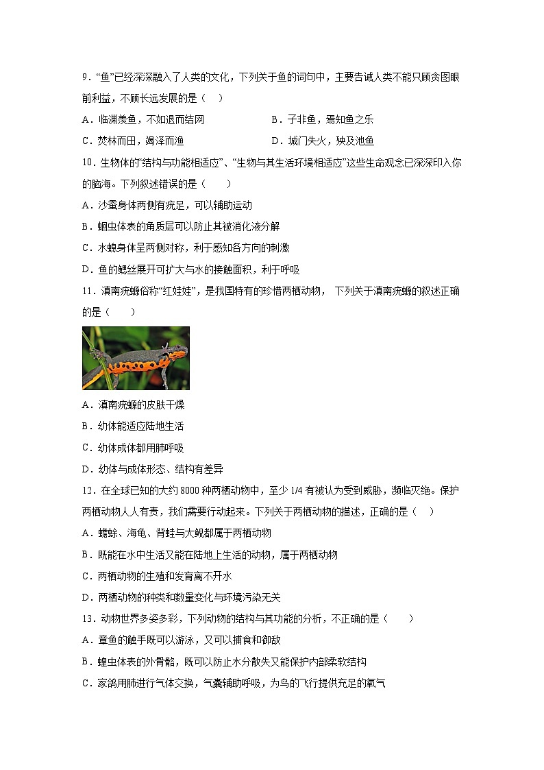 山东省烟台招远市（五四制）2023-2024学年八年级上学期期中考试生物试题（含解析）第3页