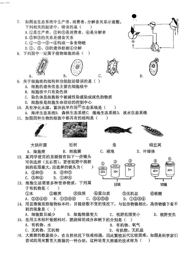 湖北省大冶市还地桥镇教联体2023—2024学年上学期七年级生物试题卷第2页