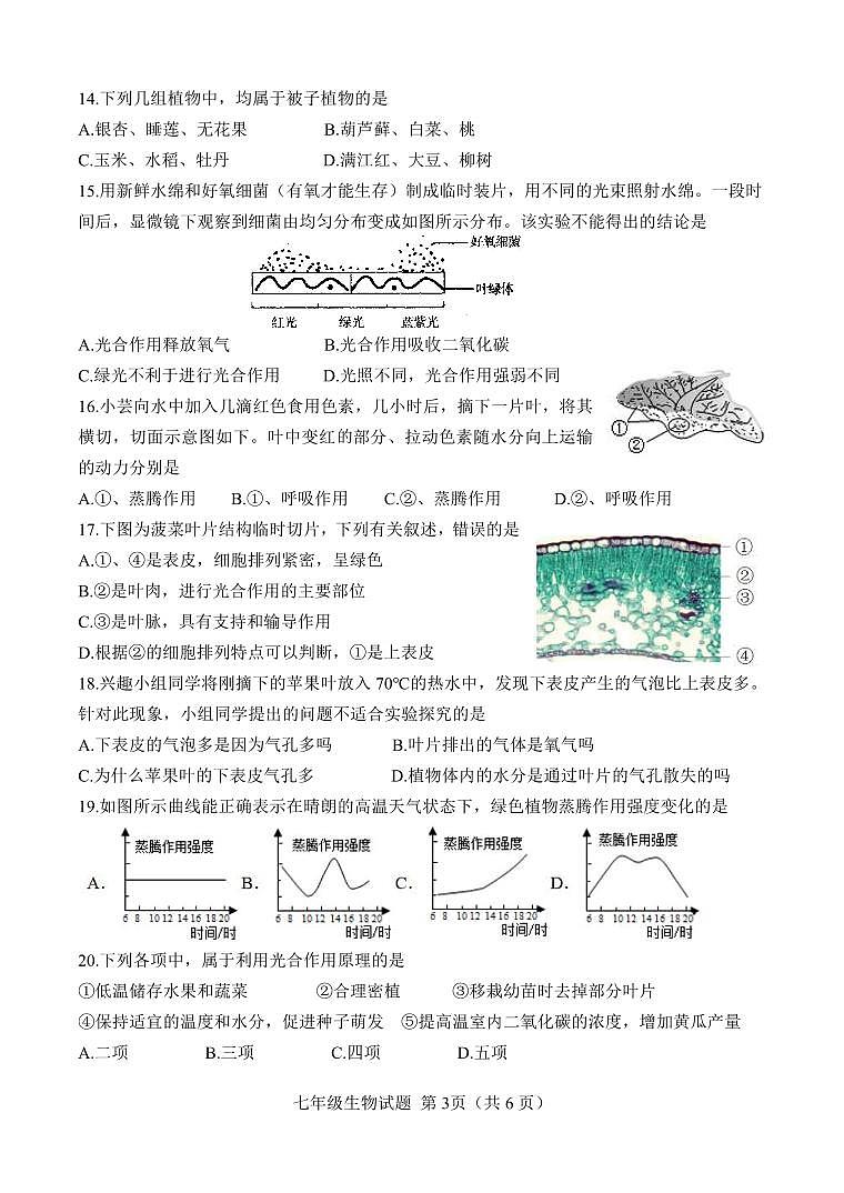 山东省菏泽市定陶区2023-2024学年七年级上学期期中考试生物学试题03
