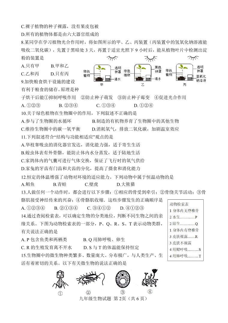 山东省菏泽市定陶区2023-2024学年九年级上学期期中考试生物学试题02