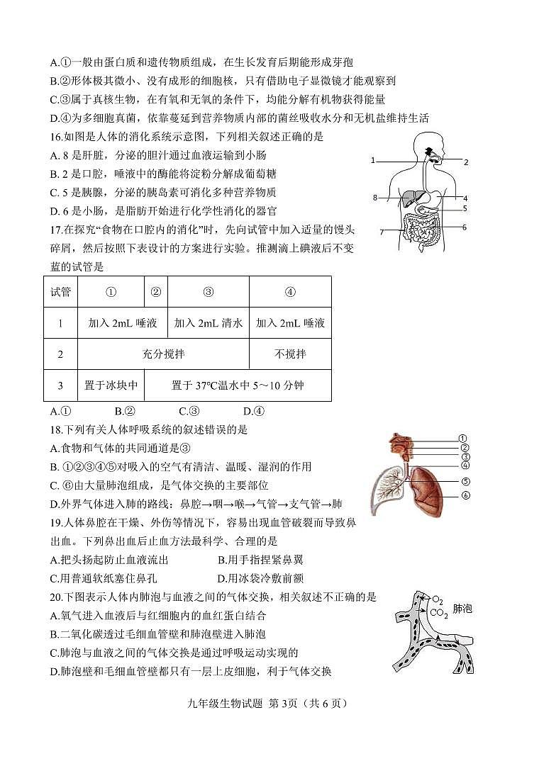 山东省菏泽市定陶区2023-2024学年九年级上学期期中考试生物学试题03