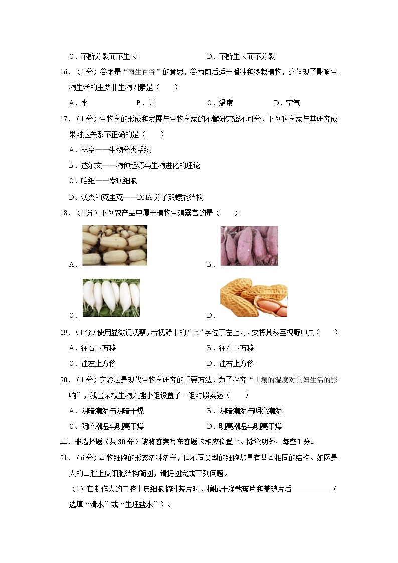 河南省新乡市长垣市2023-2024学年七年级上学期期中生物试卷03