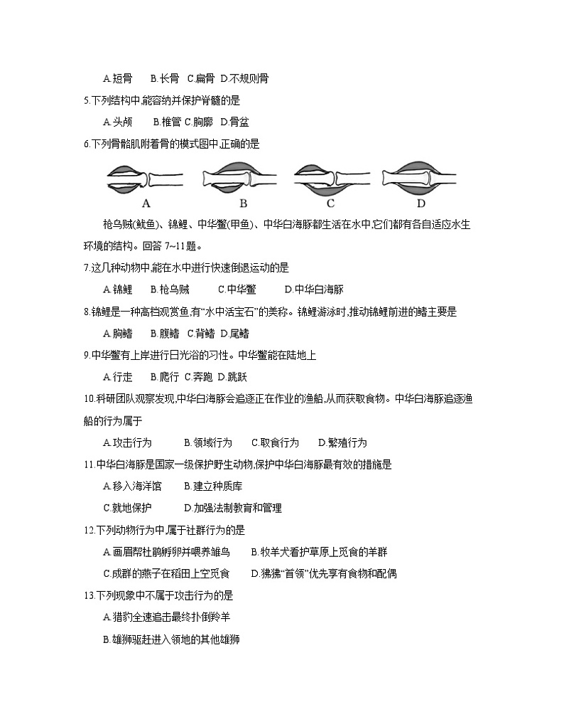 2023-2024学年福建省泉州市晋江市八年级上册期中生物检测模拟试题（附答案）第2页