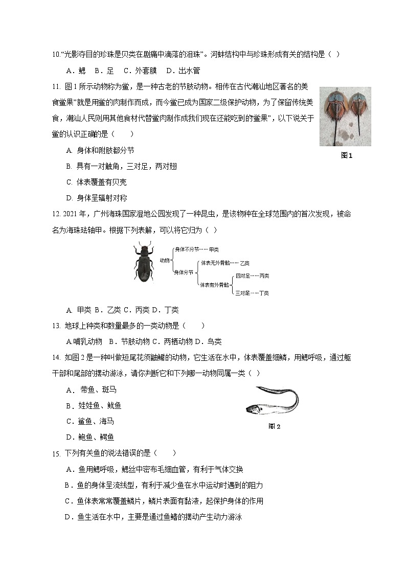 2023-2024学年广东省汕头市八年级上册期中生物学情检测模拟试题（附答案）第2页
