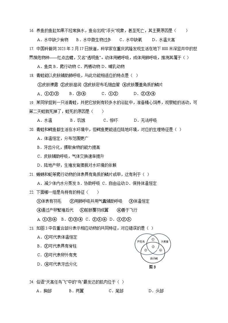 2023-2024学年广东省汕头市八年级上册期中生物学情检测模拟试题（附答案）第3页