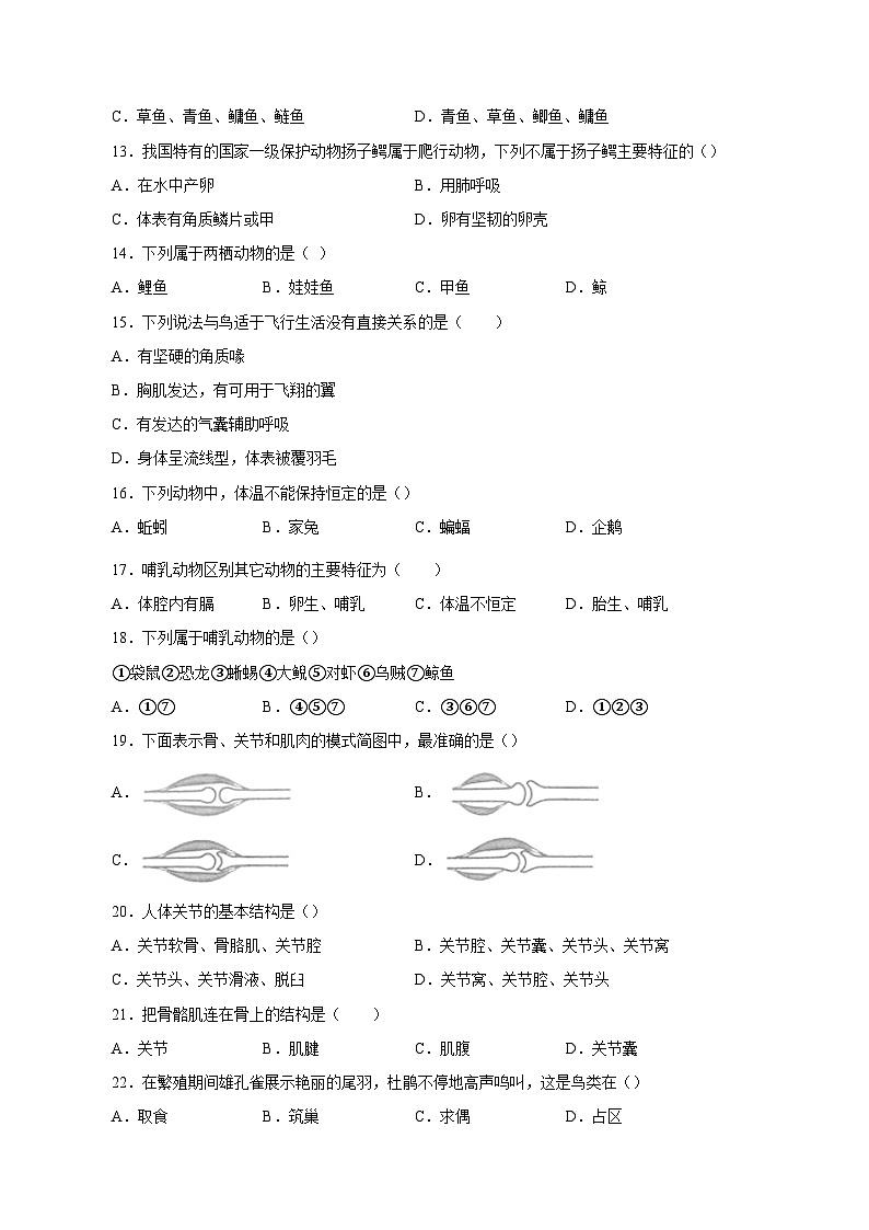 2023-2024学年广东省深圳市八年级上册期中生物学情检测模拟试题（附答案）02
