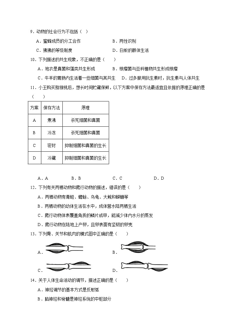 2023-2024学年广西柳州市鹿寨县八年级上册期中生物模拟试题（附答案）第2页