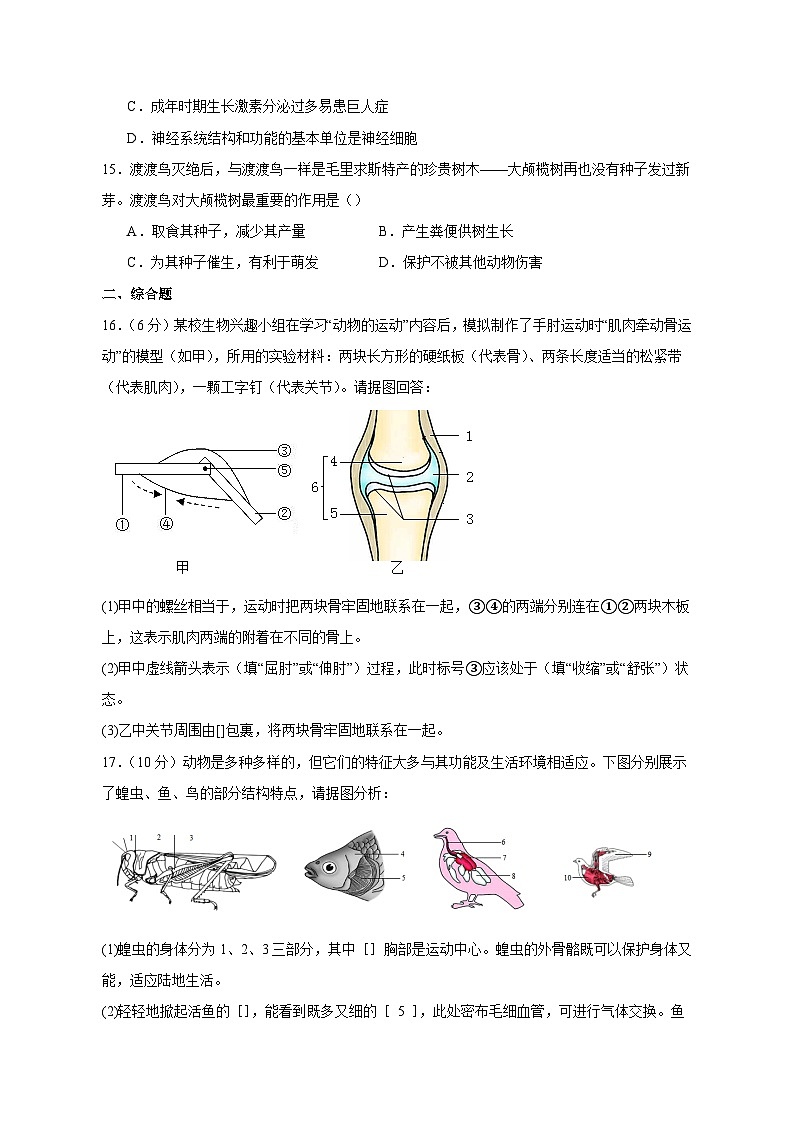 2023-2024学年广西柳州市鹿寨县八年级上册期中生物模拟试题（附答案）第3页