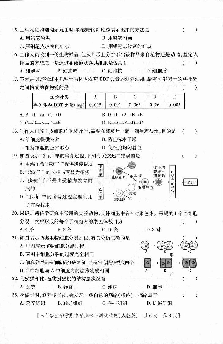 陕西省延安市富县2023-2024学年七年级上学期期中考试生物试题02