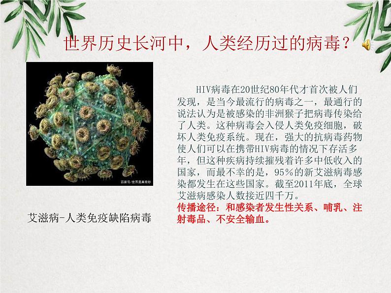 《病毒》课件第8页