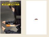 《真菌》课件 人教版生物八年级上册