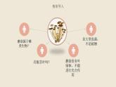 《真菌》课件 人教版生物八年级上册