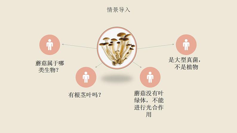 《真菌》课件 人教版生物八年级上册第4页