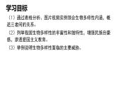 《认识生物的多样性》课件 人教版生物八年级上学期