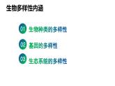 《认识生物的多样性》课件 人教版生物八年级上学期