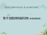 第一节 腔肠动物和扁形动物 第1课时 课件