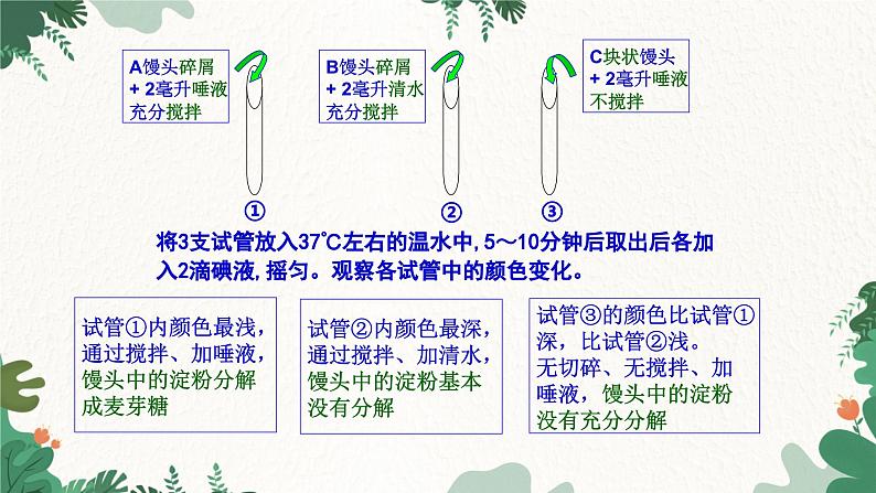 人教版生物七年级下册 第二章第二节消化和吸收课件08