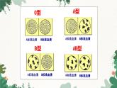 人教版生物七年级下册 第四章第四节输血与血型课件