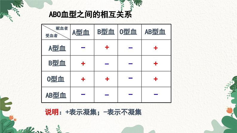 人教版生物七年级下册 第四章第四节输血与血型课件06