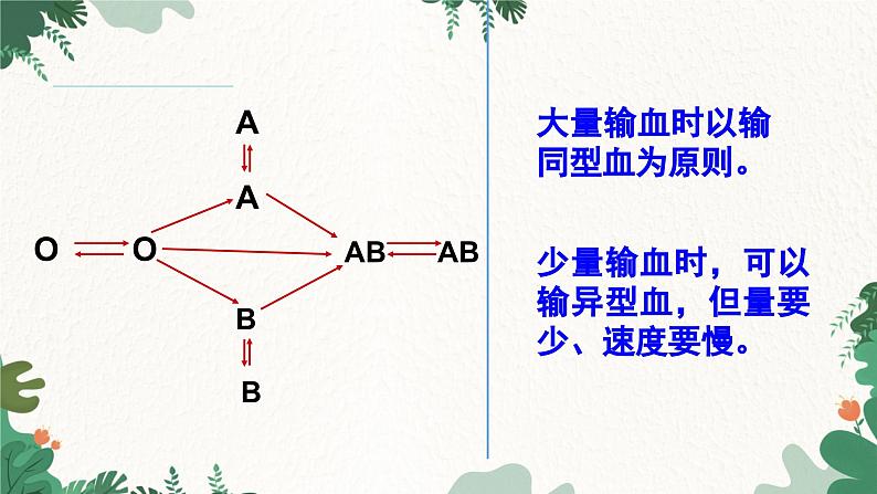 人教版生物七年级下册 第四章第四节输血与血型课件07