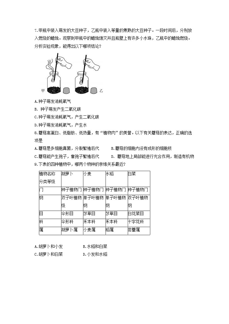 2023年山东省东营市中考生物真题（含答案解析）02