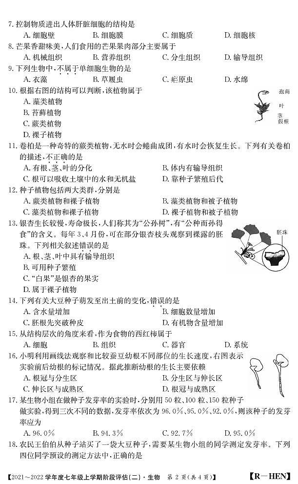 河南省新乡市封丘县第一初级中学2021-2022学年七年级上学期期中评估生物试题02