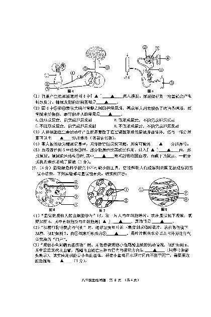 江苏省连云港市赣榆区2023—2024学年八年级上学期11月期中生物试题03
