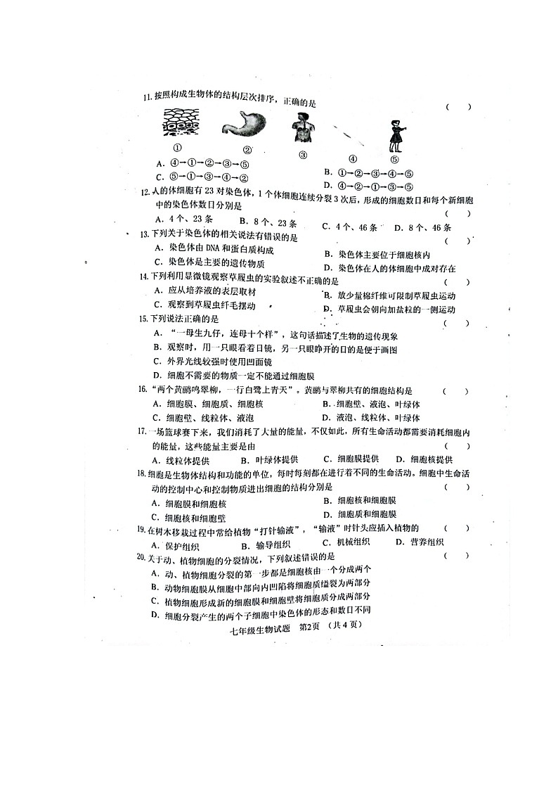 吉林省四平市双辽市2023-2024学年七年级上学期期中考试生物试题02