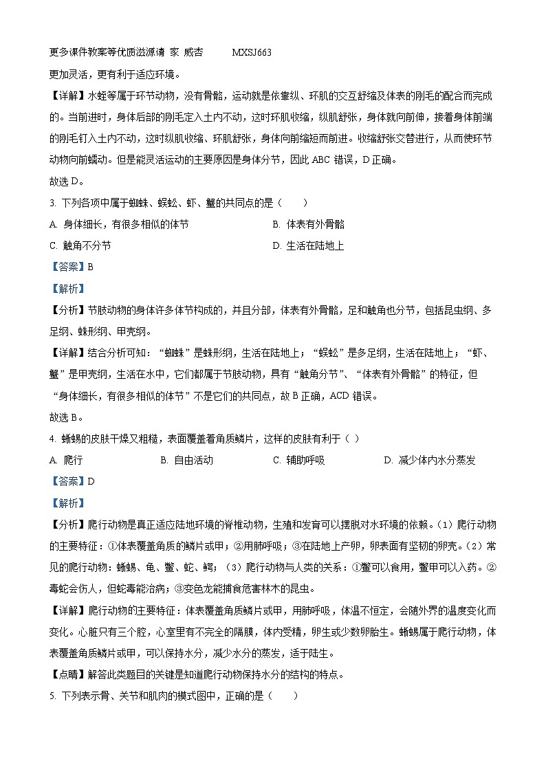 安徽省亳州市利辛中学 2023-2024学年八年级上学期期中生物试卷（解析版）第2页
