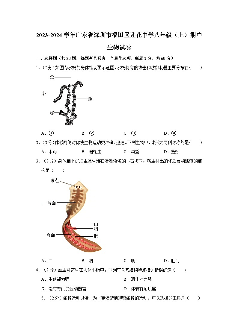 广东省深圳市福田区莲花中学2023-2024学年八年级上学期期中生物试卷01