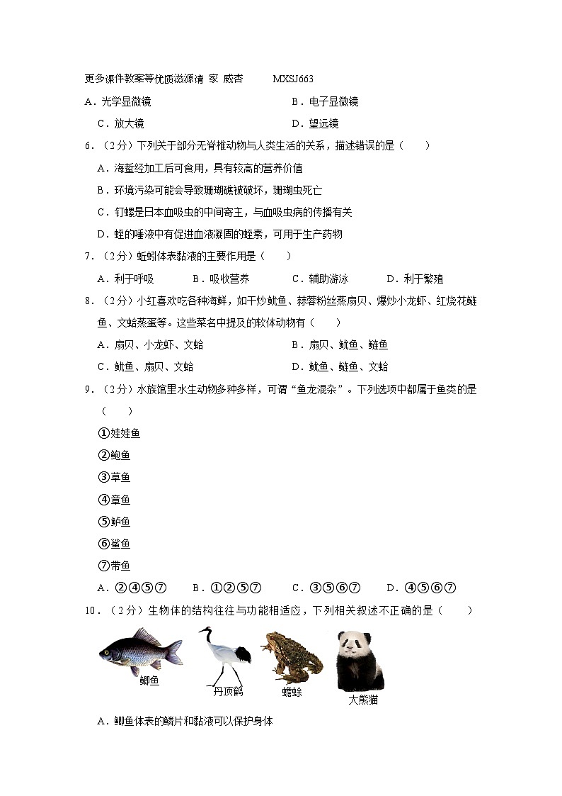 广东省深圳市福田区莲花中学2023-2024学年八年级上学期期中生物试卷02